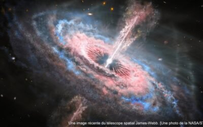 Les Semences d&rsquo;Étoiles sont ici avec un but important.