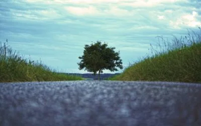 Le chemin vers l&rsquo;unité