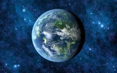 Thymus : Les nouveaux maîtres de la planète Terre
