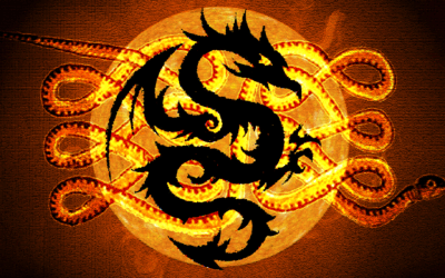 Transformation, l&rsquo;année du serpent