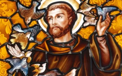 Sagesse de Saint François pour aujourd&rsquo;hui