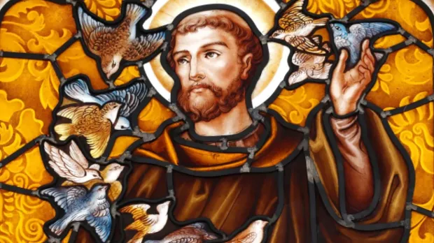Sagesse de Saint François pour aujourd&rsquo;hui