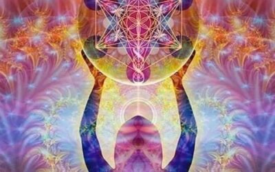 Notre colonne vertébrale solaire de 5ème dimension et nos douze chakras solaires