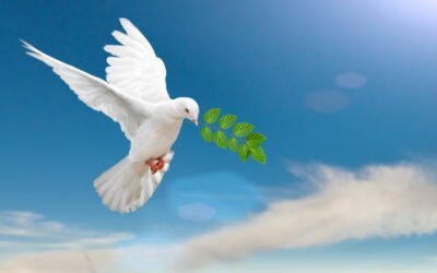Cérémonie 1-1-1 – Seigneur Ashtar-Seigneur Sananda invoquant l’unité et la paix