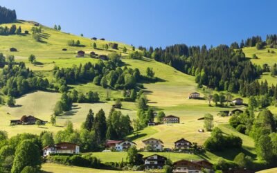 Les terres agricoles des Kolals (1/4)
