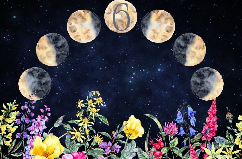 Prévisions d&rsquo;astrologie intuitive juin 2024 par Tanaaz