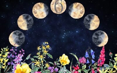 Prévisions d&rsquo;astrologie intuitive juin 2024 par Tanaaz