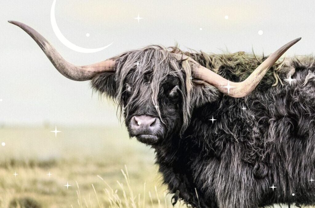 Astrologie intuitive : Nouvelle Lune du Taureau de mai 2024 par Tanaaz