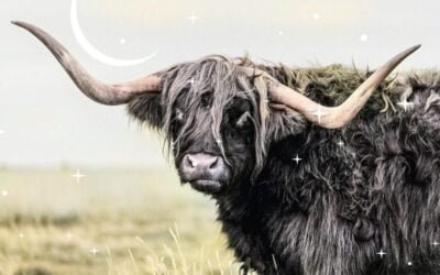 Astrologie intuitive : Nouvelle Lune du Taureau de mai 2024 par Tanaaz