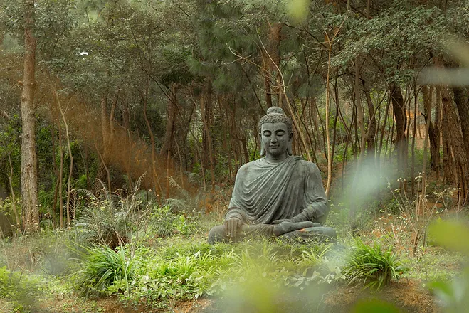 Bouddha, le Christ et Mère divine I Bénédiction tout à fait spéciale