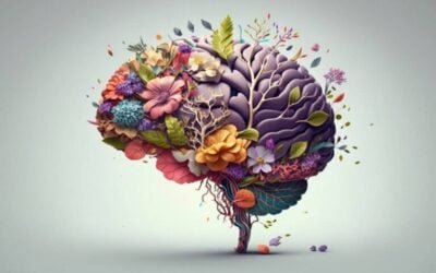 Comment l&rsquo;émerveillement remodèle le cerveau