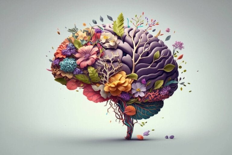 Comment l&rsquo;émerveillement remodèle le cerveau