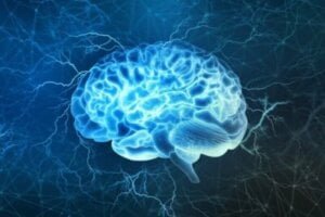 Cet homme affirme que la mort n&rsquo;est pas la fin : les cerveaux peuvent rester viables pendant des jours, selon une étude
