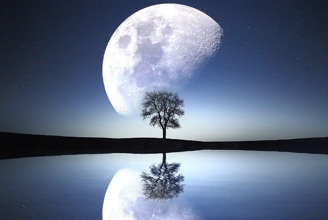 Il ne s’agit pas de rêver la Terre d’harmonie