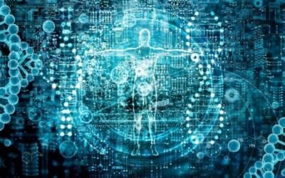 Libération cellulaire