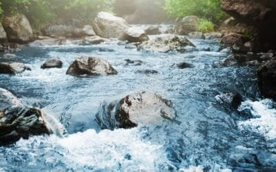 Vous êtes en train de traverser votre Baptême
