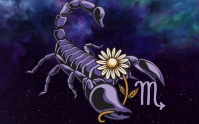 Vos horoscopes pour la saison du Scorpion d&rsquo;octobre à novembre 2024 par Narayana Montufar