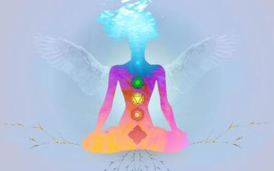 Les quinze chakras