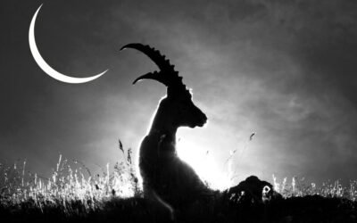 Astrologie intuitive : Lune noire du Capricorne décembre 2024 par Tanaaz