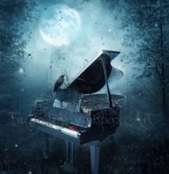Contrats d’âme et sentiments ; ou, joué comme un piano