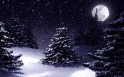 Le dossier de Noël : origines et évolutions d’une fête
