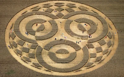 La Fédération Galactique : Crop Circles et Plans