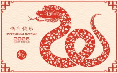 Perspectives transformationnelles : l’année du serpent