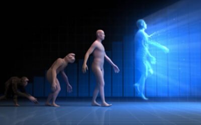 Un processus d’évolution rapide