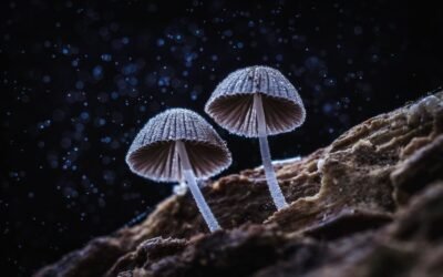 Votre estime de soi et comment elle est déterminée ∞ Thymus