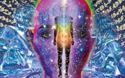 Judith Kusel : Multidimensionnalité