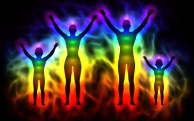 Vidya Fraizer : Les humains sont des êtres étonnants