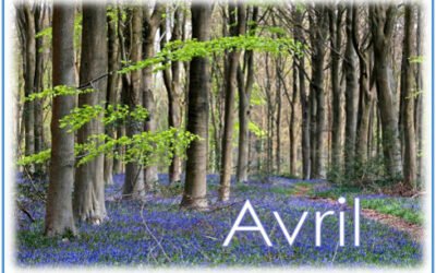 Avril est arrivé cette année avec une énergie notablement différente