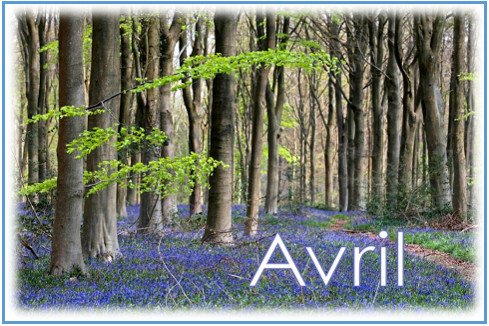 Bulletin Express© 19 avril 2025