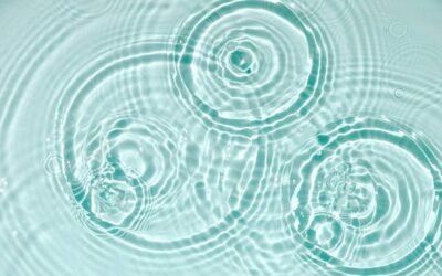 Le nectar d’immortalité, contrepartie physique des sentiments les plus fins.