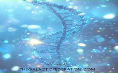 Assimilation en douceur des nouveaux codes ADN célestes