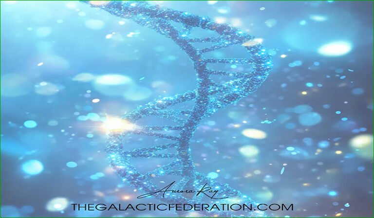 Assimilation en douceur des nouveaux codes ADN célestes