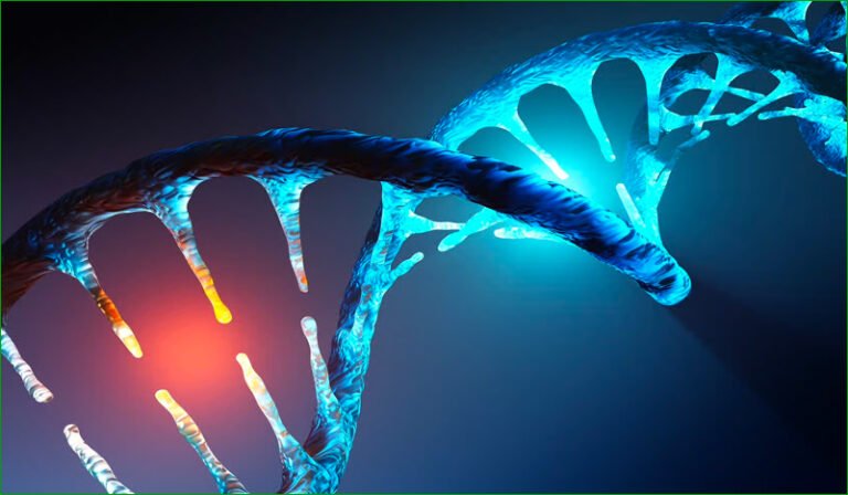 Assimilation en douceur des nouveaux codes ADN célestes