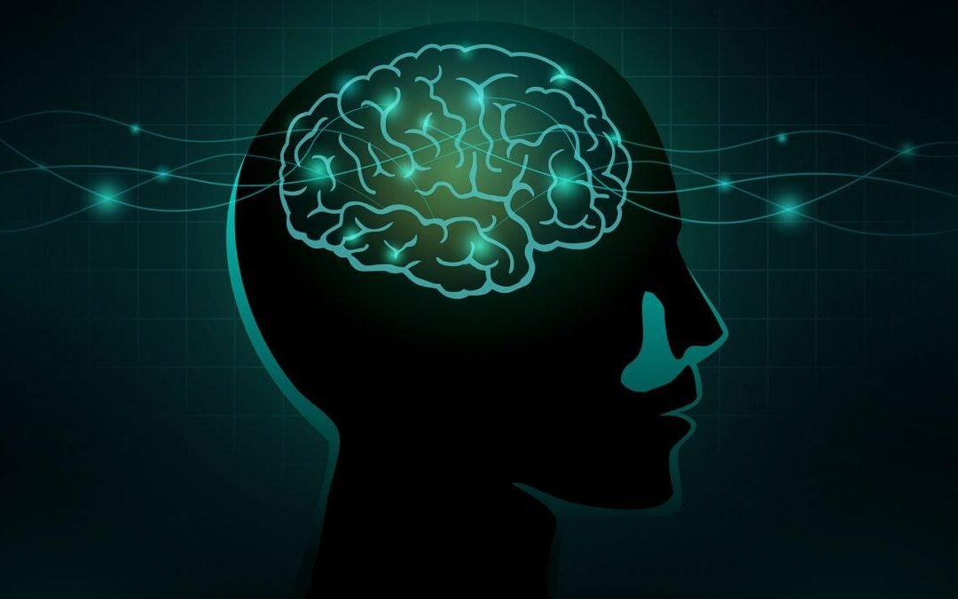 Ce que les scientifiques ne veulent pas comprendre