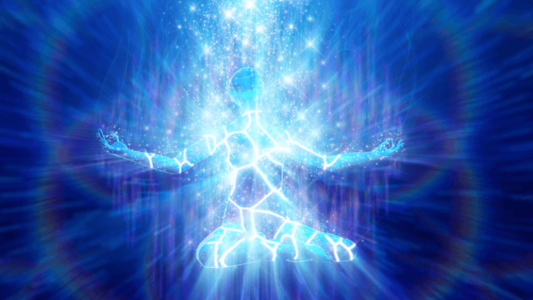 Thymus : Que se passe-t-il en ces temps passionnants ?