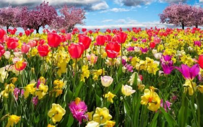 Quittez l&rsquo;hiver de vos consciences, le Printemps renaît en vos cœurs!