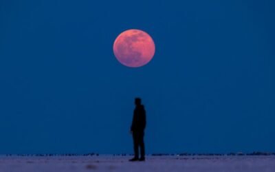 Celia Fenn : L&rsquo;éclipse de la Lune de sang et l&rsquo;activation de la guérison profonde