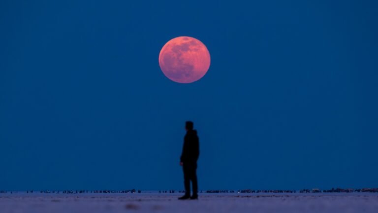 Celia Fenn : L&rsquo;éclipse de la Lune de sang et l&rsquo;activation de la guérison profonde