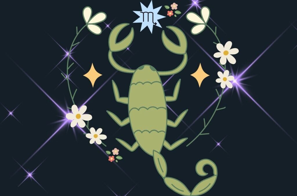 Votre horoscope pour la saison du Scorpion d&rsquo;octobre à novembre 2025 par Narayana Montufar