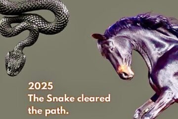 Le serpent mue, le cheval s’éveille – De l’alchimie intérieure au momentum incarné