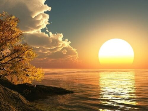Plus brillant que le soleil : un appel