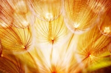 Natalia Alba : Une nouvelle lumière sur nous