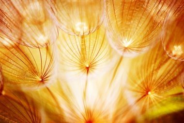 Natalia Alba : Une nouvelle lumière sur nous
