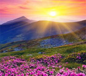Vigueur spirituelle