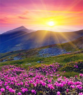 Vigueur spirituelle