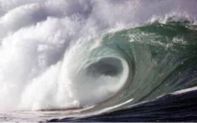 Le Conseil des 7 : Cette vague est irrésistible